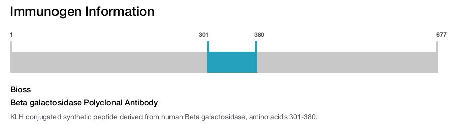 Beta galactosidase Polyclonal Antibody