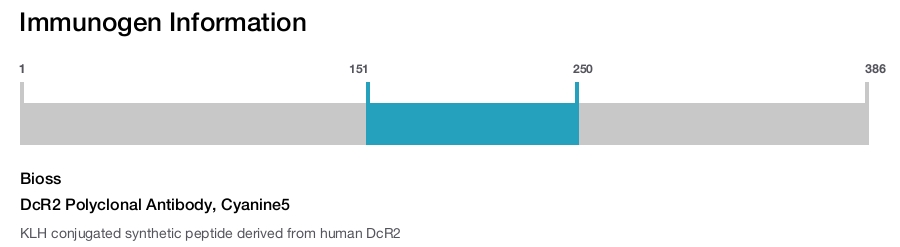 DcR2 Polyclonal Antibody, Cyanine5