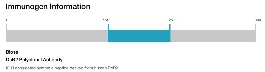 DcR2 Polyclonal Antibody