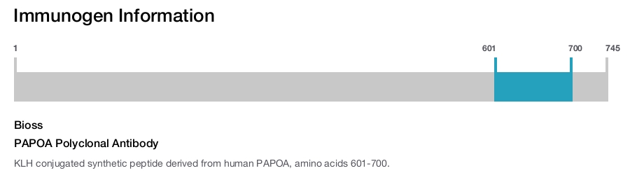 PAPOA Polyclonal Antibody