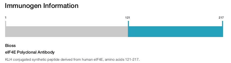 eIF4E Polyclonal Antibody