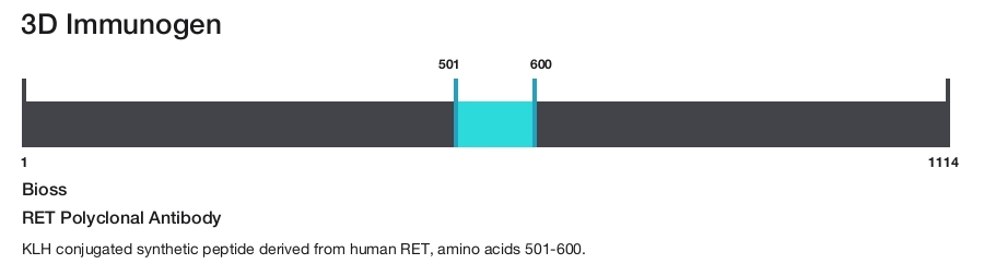 RET Polyclonal Antibody