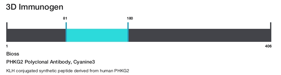 PHKG2 Polyclonal Antibody, Cyanine3