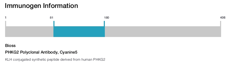 PHKG2 Polyclonal Antibody, Cyanine5