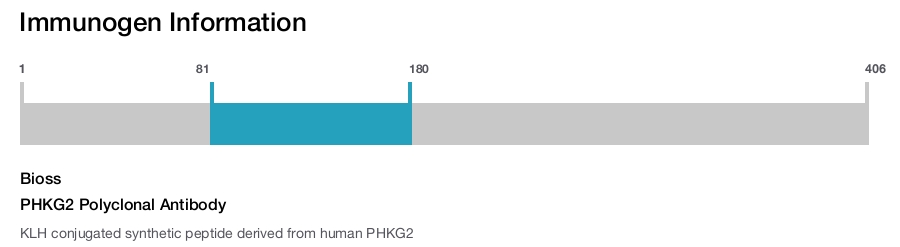 PHKG2 Polyclonal Antibody