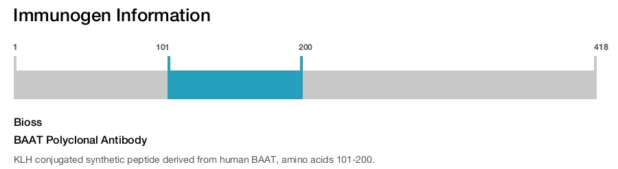 BAAT Polyclonal Antibody