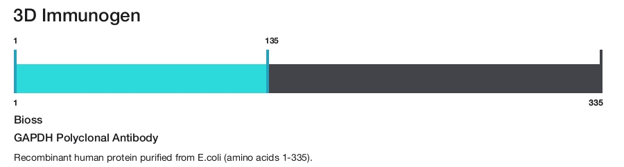 GAPDH Polyclonal Antibody