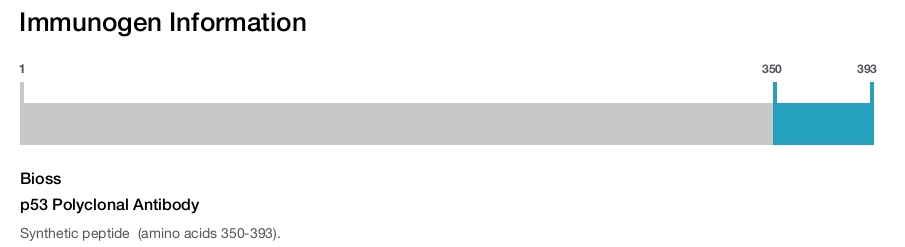 p53 Polyclonal Antibody