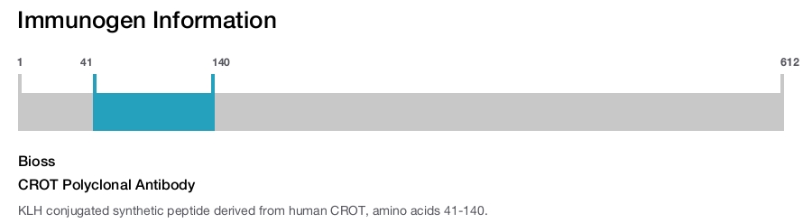 CROT Polyclonal Antibody