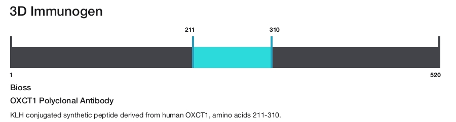 OXCT1 Polyclonal Antibody
