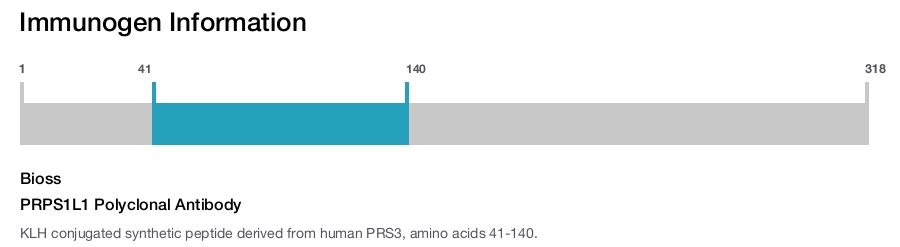 PRPS1L1 Polyclonal Antibody