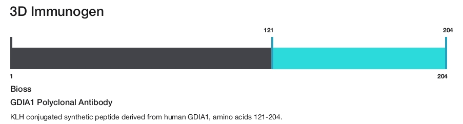 GDIA1 Polyclonal Antibody