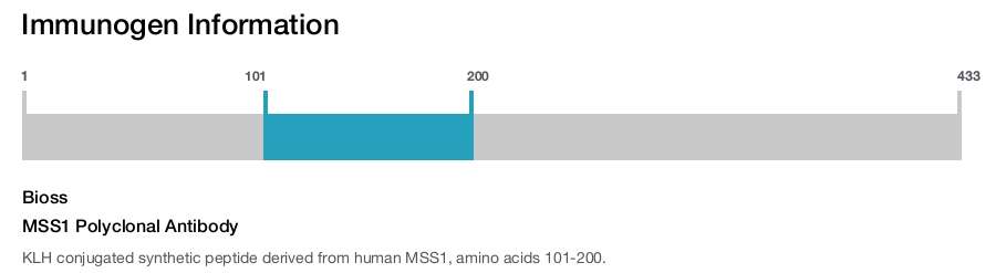 MSS1 Polyclonal Antibody