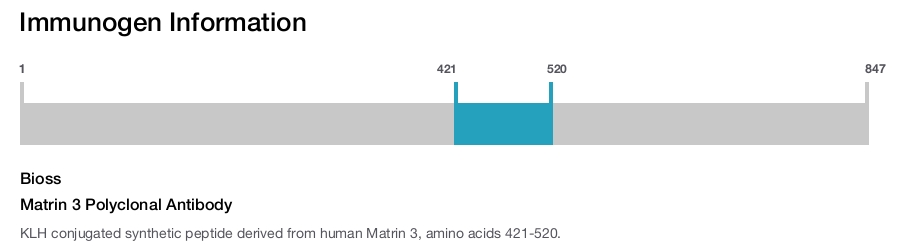Matrin 3 Polyclonal Antibody