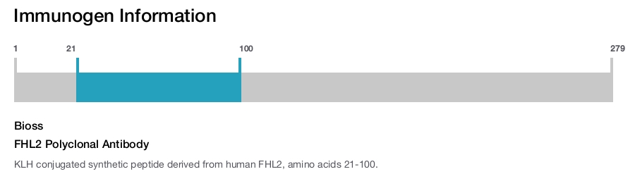 FHL2 Polyclonal Antibody