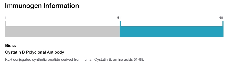 Cystatin B Polyclonal Antibody