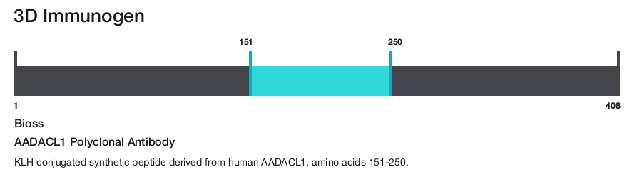 AADACL1 Polyclonal Antibody