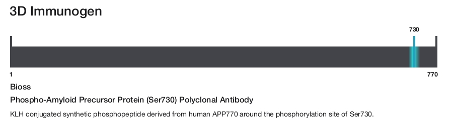 Phospho-Amyloid Precursor Protein (Ser730) Polyclonal Antibody