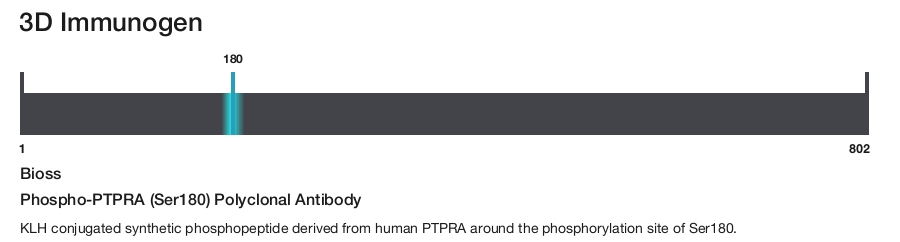Phospho-PTPRA (Ser180) Polyclonal Antibody