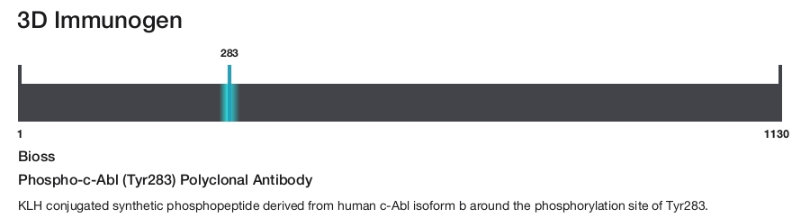 Phospho-c-Abl (Tyr283) Polyclonal Antibody