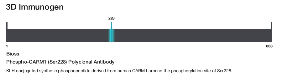 Phospho-CARM1 (Ser228) Polyclonal Antibody