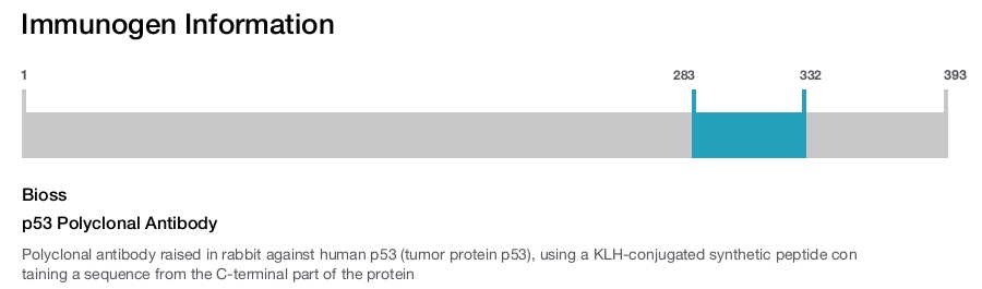 p53 Polyclonal Antibody
