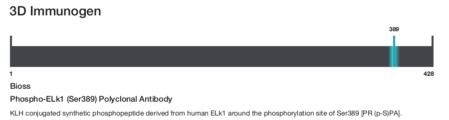 Phospho-ELk1 (Ser389) Polyclonal Antibody