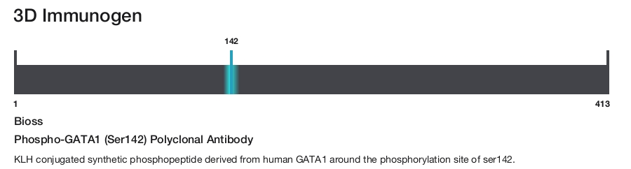 Phospho-GATA1 (Ser142) Polyclonal Antibody