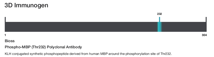 Phospho-MBP (Thr232) Polyclonal Antibody