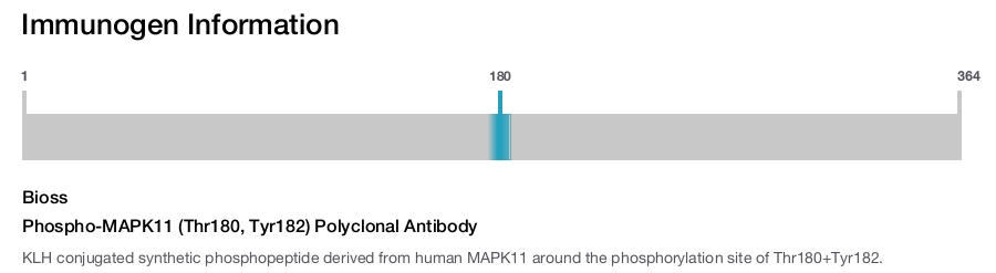 Phospho-MAPK11 (Thr180, Tyr182) Polyclonal Antibody