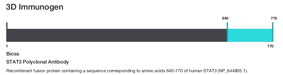 STAT3 Polyclonal Antibody