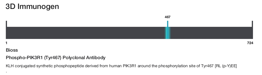 Phospho-PIK3R1 (Tyr467) Polyclonal Antibody
