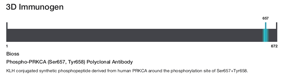 Phospho-PRKCA (Ser657, Tyr658) Polyclonal Antibody