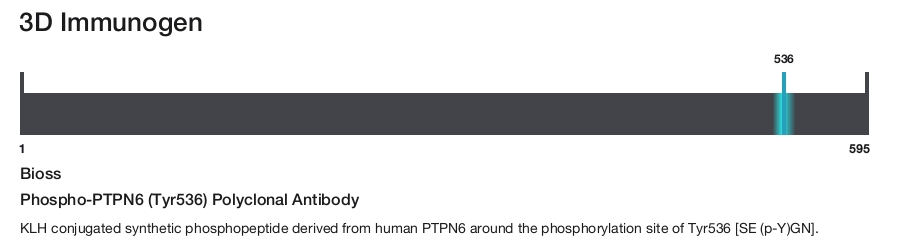 Phospho-PTPN6 (Tyr536) Polyclonal Antibody