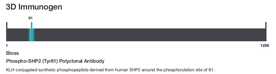 Phospho-SHP2 (Tyr81) Polyclonal Antibody