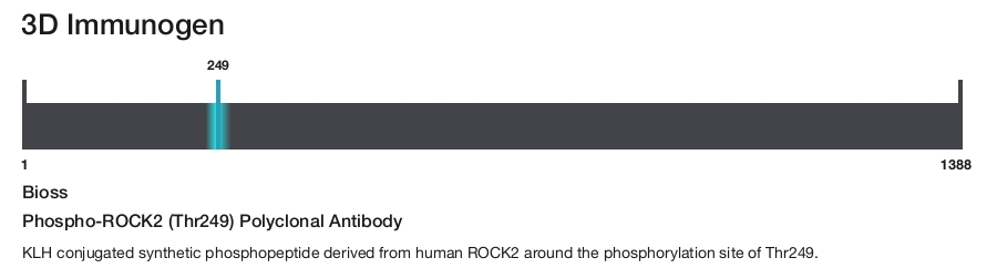 Phospho-ROCK2 (Thr249) Polyclonal Antibody
