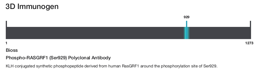 Phospho-RASGRF1 (Ser929) Polyclonal Antibody