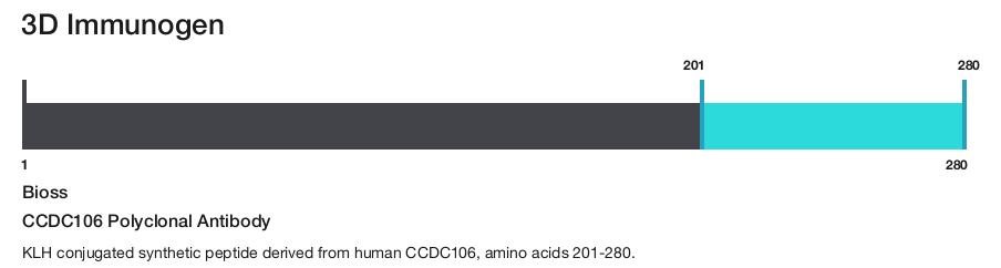 CCDC106 Polyclonal Antibody