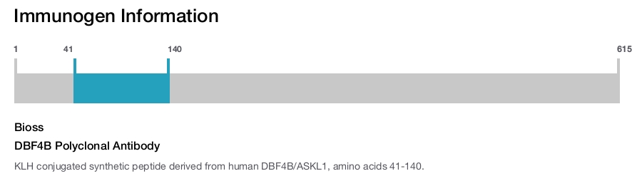 DBF4B Polyclonal Antibody