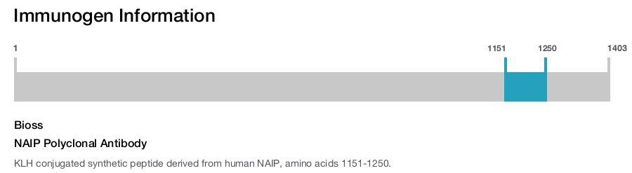 NAIP Polyclonal Antibody