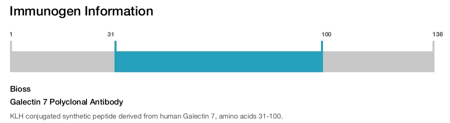 Galectin 7 Polyclonal Antibody