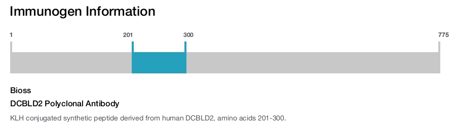 DCBLD2 Polyclonal Antibody