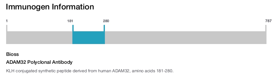 ADAM32 Polyclonal Antibody
