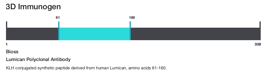 Lumican Polyclonal Antibody