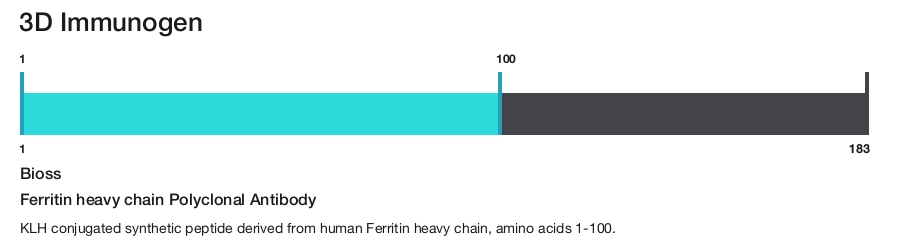Ferritin heavy chain Polyclonal Antibody