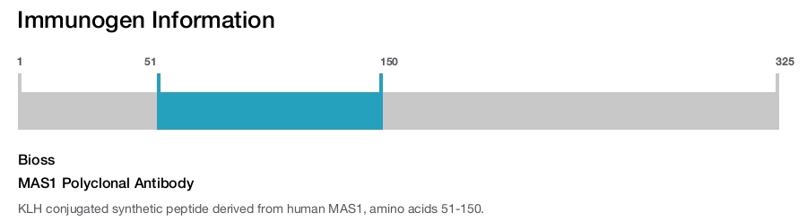 MAS1 Polyclonal Antibody