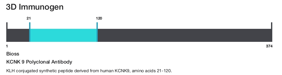 KCNK 9 Polyclonal Antibody