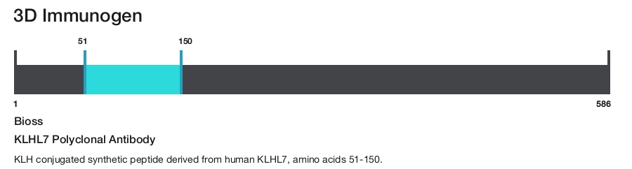 KLHL7 Polyclonal Antibody