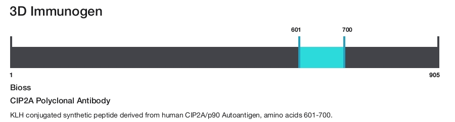 CIP2A Polyclonal Antibody