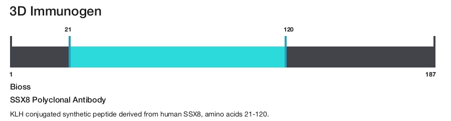 SSX8 Polyclonal Antibody